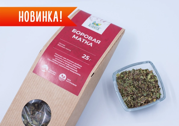 Боровая матка