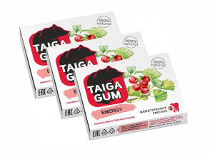Смолка Taiga Gum «Energy» в растительной пудре, без сахара, 5 шт. ТМ Алтайский Нектар Набор из 3 штук