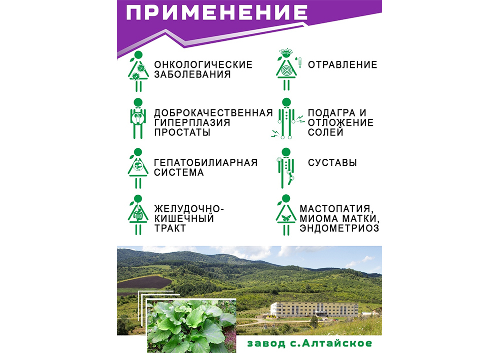 Купить экстракт лопуха в капсулах по низкой цене в «Алтайвита»