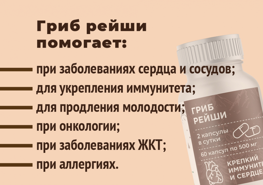 Купить Гриб Рейши в капсулах по низкой цене в «Алтайвита»