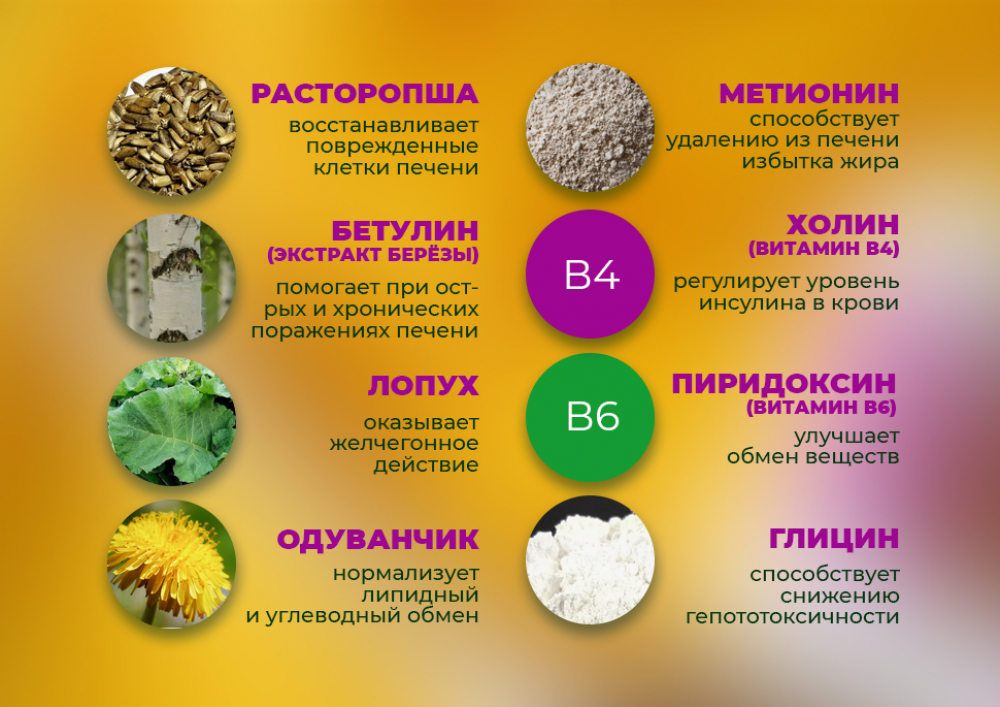 Купить расторопшу в капсулах недорого по низкой цене в «Алтайвита»
