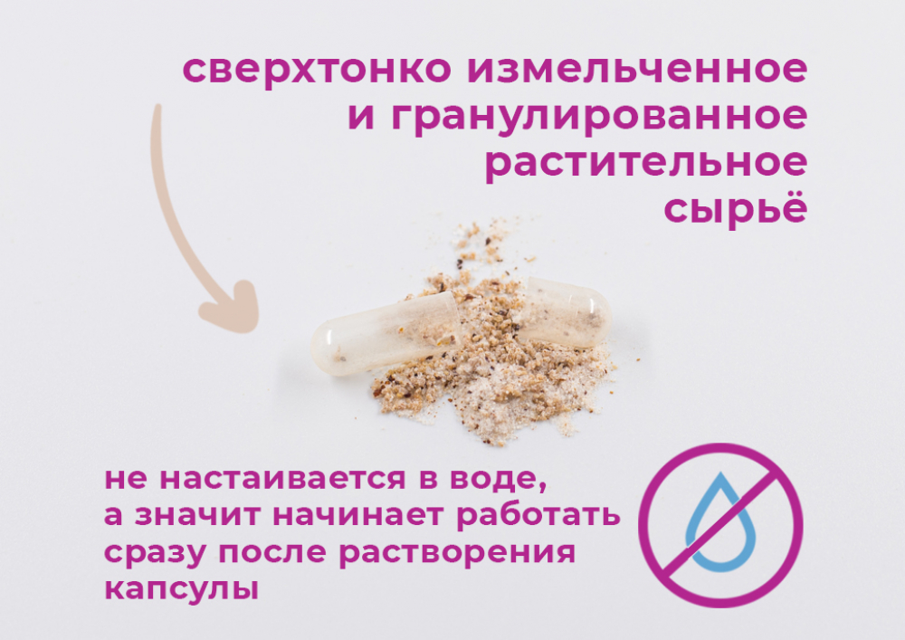 Купить расторопшу в капсулах недорого по низкой цене в «Алтайвита»