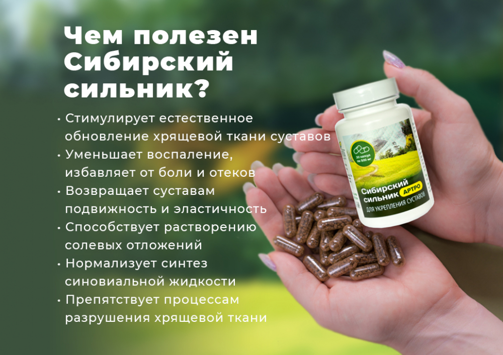 Купить сибирский сильник в капсулах недорого