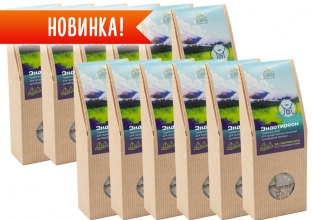 Травяной чай Эндотиреон в пирамидках, 100 гр. Набор 12 шт