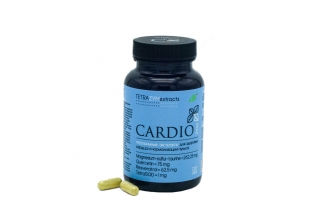 Тетразимные экстракты TETRA ZYM EXTRACTS CARDIOzym, 120 капс